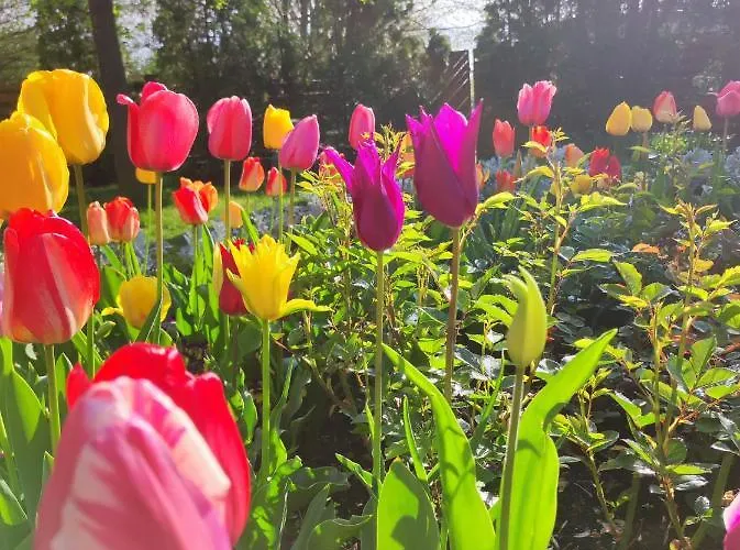 Отель Agnes Хевиз